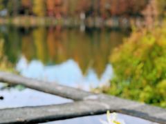 -中国科学院华南植物园