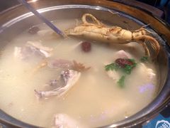 -千岛蚝高压锅生蚝·人参火锅(白云万达店)