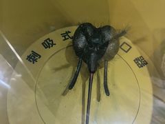 -上海昆虫博物馆