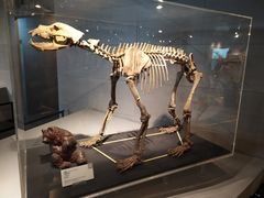 -北京周口店北京人遗址博物馆