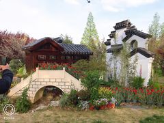 -苏州上方山国家森林公园
