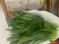 -芦月轩羊蝎子(太平桥店)