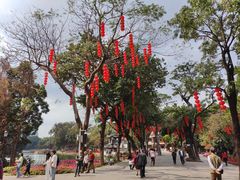 -荔湾湖公园