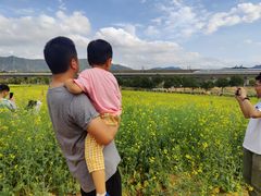 -光明小镇欢乐田园