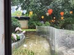 -熊猫自助餐厅.萌趣城堡(长隆熊猫酒店)
