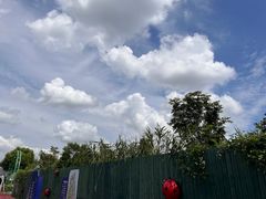 -菊园百果园