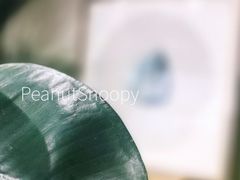 -Catch Bagel(芳草地店)