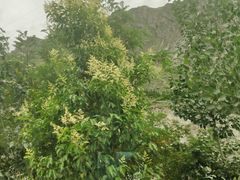 -叠溪松坪沟景区