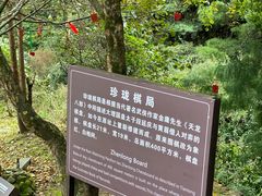 -苍山感通索道