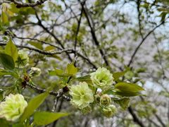 -白塘生态植物园