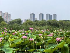 -太阳宫公园