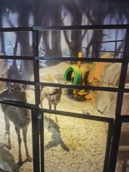 -酷嗒动物文化乐园(cutezoo西溪乐天城店)