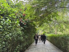 -野象谷景区