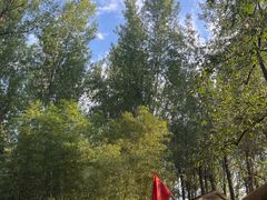 -林间山庄