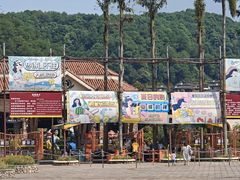 -重庆海昌加勒比海水世界