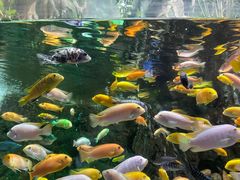 -太平洋海底世界