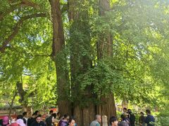 -潭柘寺景区