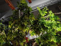 -草原塞蛮羊火锅城(港湾店)