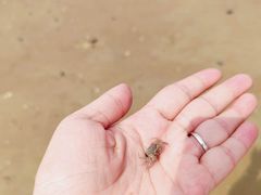 -巽寮印象美食部落餐厅·海鲜·地方特色菜(惠州体验店)