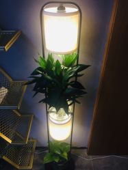 -梵玛西美肌皮肤管理中心