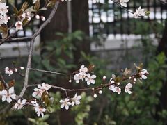-颐景园