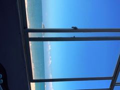 -红月湾海鲜饭店•沙滩海景(双月湾店)