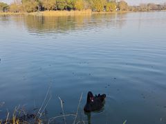 -昆山城市生态森林公园