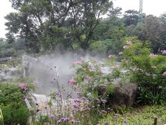 -东莞植物园