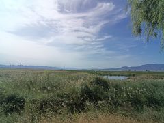 -野鸭湖国家湿地公园