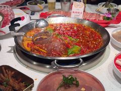 -小龙坎火锅(春熙太古里店)