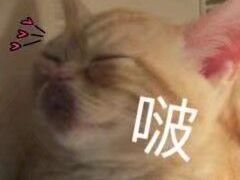 -7分甜(上海新天地广场店)