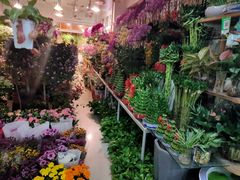 -双季花艺园艺市场(浦东店)