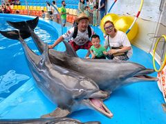 -尼莫海豚馆