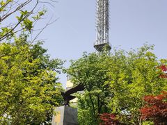 -南京老山国家森林公园