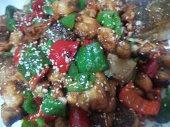 -煲来饱去冷水鱼