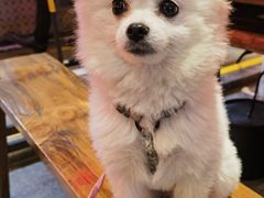 -万达文华酒店·48F云端窗景美食汇自助餐厅