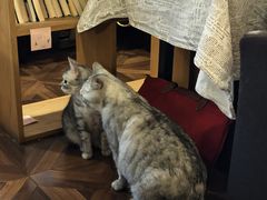 -隅cafe(傅厚岗店)