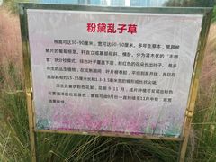 -艾溪湖湿地公园