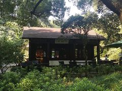 -中国茶叶博物馆(双峰馆区)