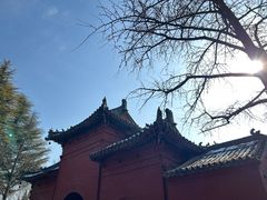 -洛阳白马寺