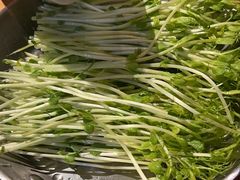 -手选潮汕鲜牛肉火锅(二七广场店)