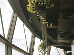 -西堤牛排(杭州金沙天街龙湖店)