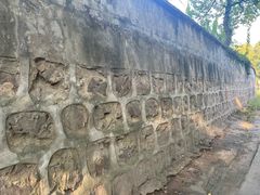 -上海佘山国家森林公园天马山园