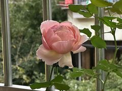 -海幢瑞芳饮食店