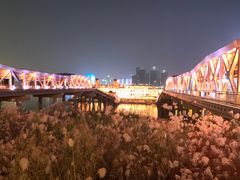 -武汉知音号