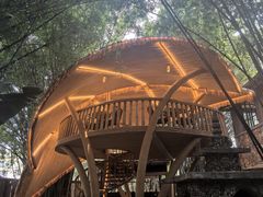 -勐丽梦兰傣味餐厅