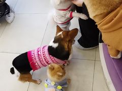 -怪兽屋·羊驼·猫咖·狗咖(俊华广场店)