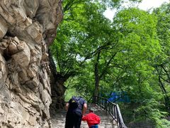 -北京上方山国家森林公园
