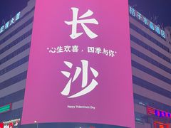 -黑色经典臭豆腐·湖南特产(潇湘文化店)