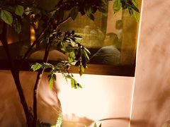 店内环境-柚子(假日店)